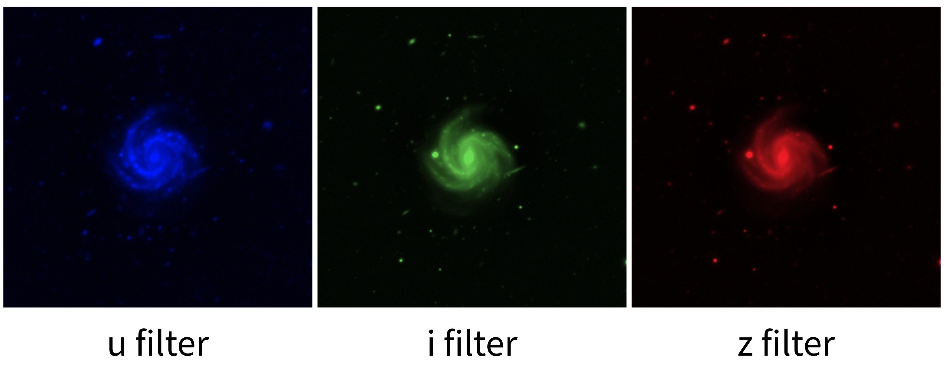 Spiral galaxy image in colorized u, i, and z filters
